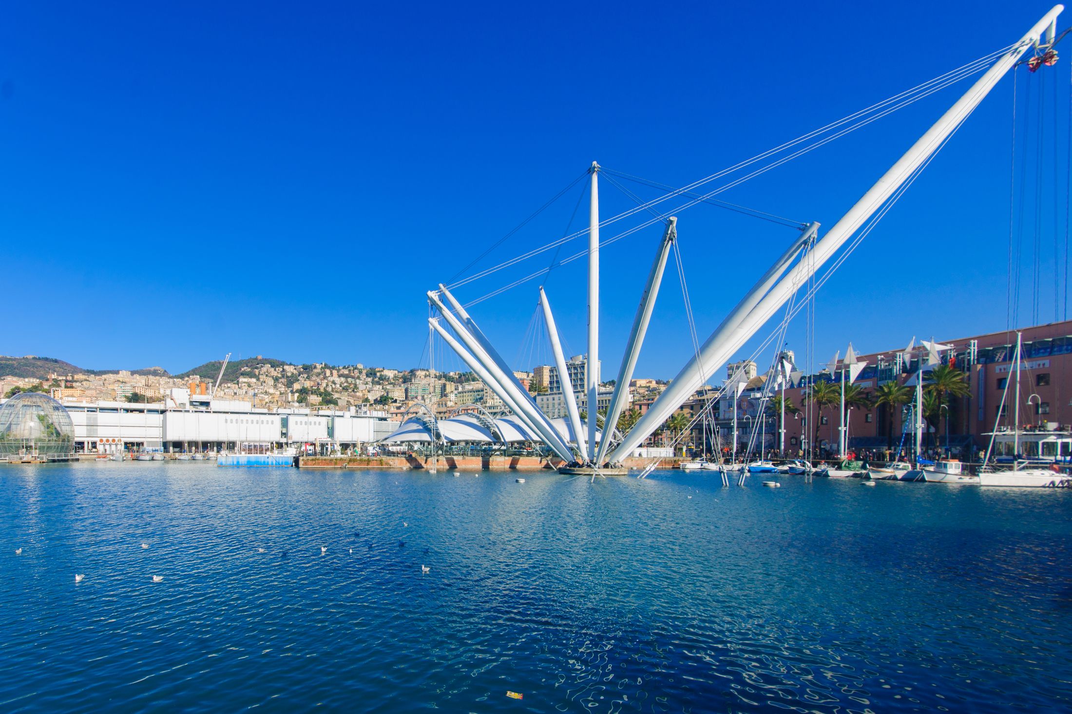 Camping Miraflores - Genova